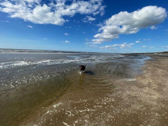 Zeebedstay Noordwijk Eksteriør billede